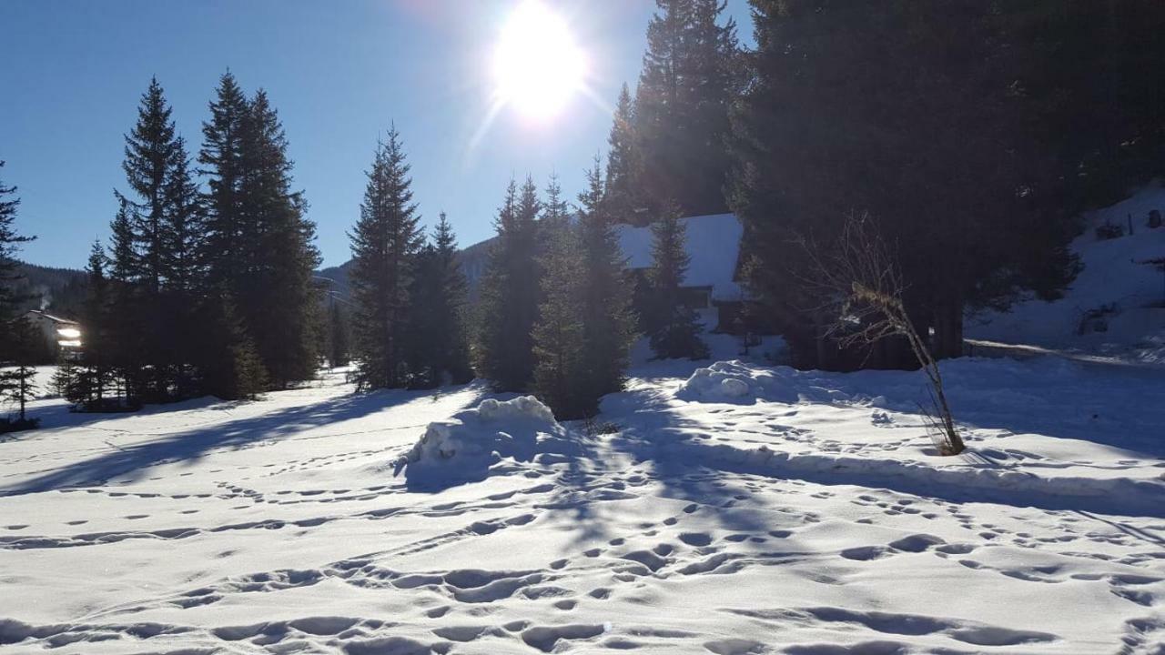 Auszeithuette Villa Flattnitz Eksteriør bilde